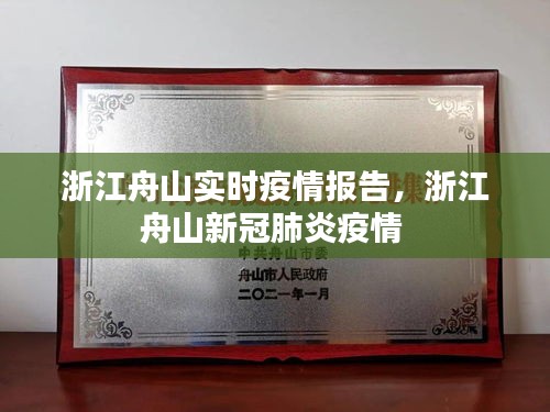 浙江舟山实时疫情报告,浙江舟山新冠肺炎疫情