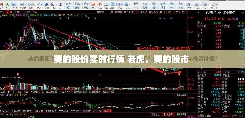 美的股价实时行情 老虎,美的股市