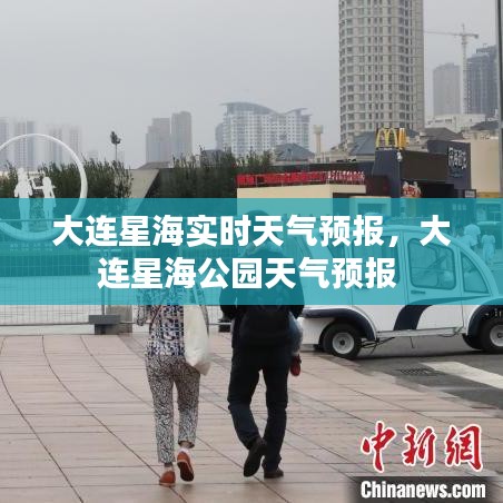 大连星海实时天气预报,大连星海公园天气预报