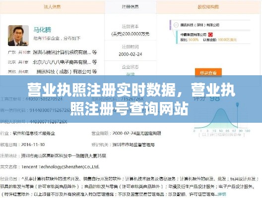 营业执照注册实时数据,营业执照注册号查询网站