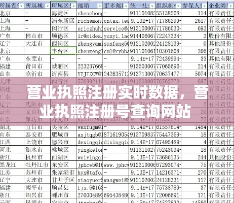 营业执照注册实时数据,营业执照注册号查询网站