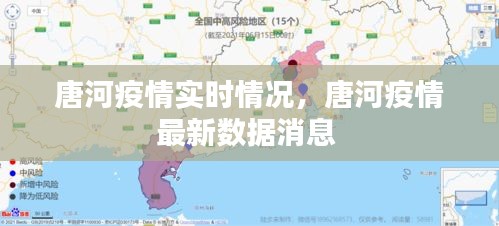唐河疫情实时情况,唐河疫情最新数据消息