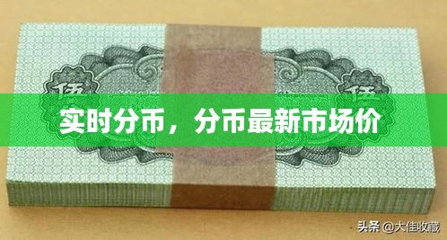 实时分币,分币最新市场价
