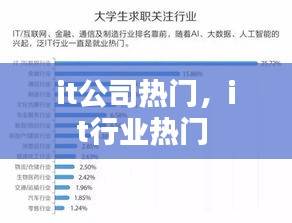 it公司热门,it行业热门