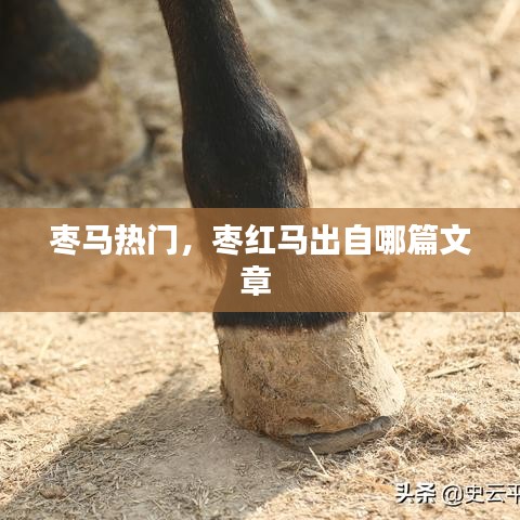 枣马热门,枣红马出自哪篇文章