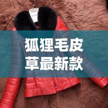 狐狸毛皮草最新款老人真毛:狐狸毛皮草介绍