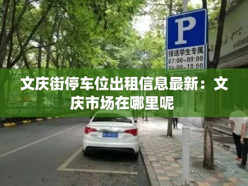 文庆街停车位出租信息最新:文庆市场在哪里呢