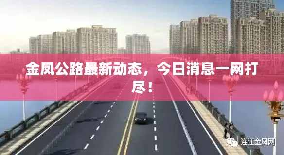 金凤公路最新动态,今日消息一网打尽!