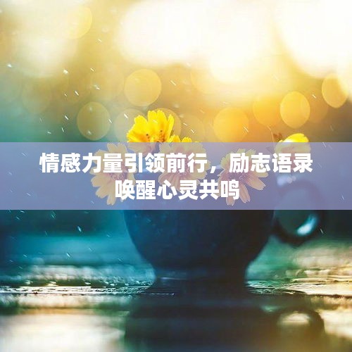 情感力量引领前行,励志语录唤醒心灵共鸣