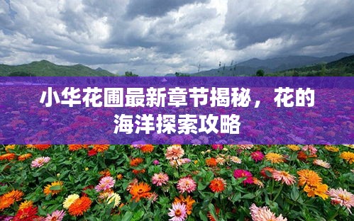 小华花圃最新章节揭秘,花的海洋探索攻略