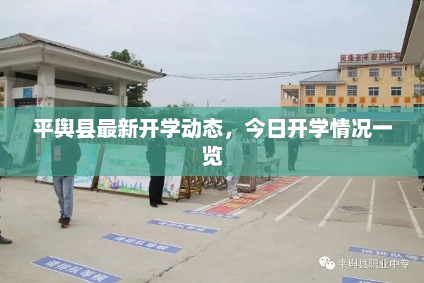 平舆县最新开学动态,今日开学情况一览