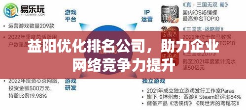 益阳优化排名公司,助力企业网络竞争力提升