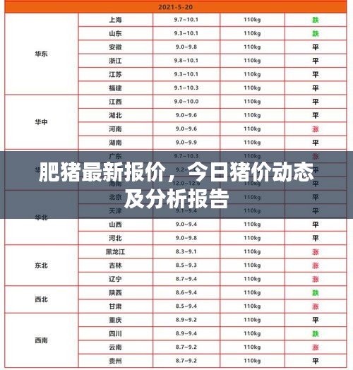 肥猪最新报价,今日猪价动态及分析报告