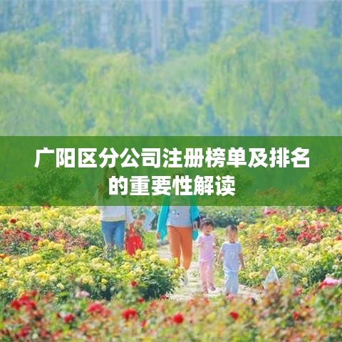 广阳区分公司注册榜单及排名的重要性解读