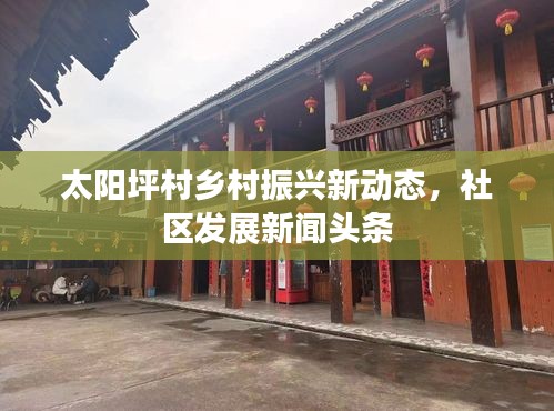 太阳坪村乡村振兴新动态,社区发展新闻头条