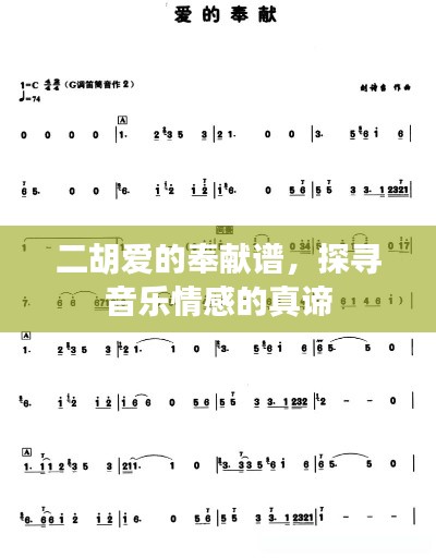 二胡爱的奉献谱,探寻音乐情感的真谛