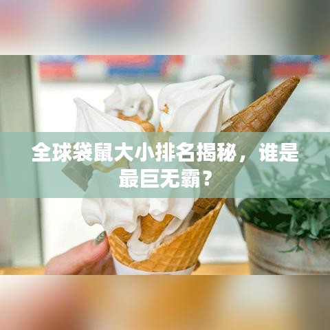 全球袋鼠大小排名揭秘,谁是最巨无霸?