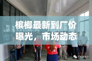 槟榔最新到厂价曝光，市场动态及影响因素一网打尽