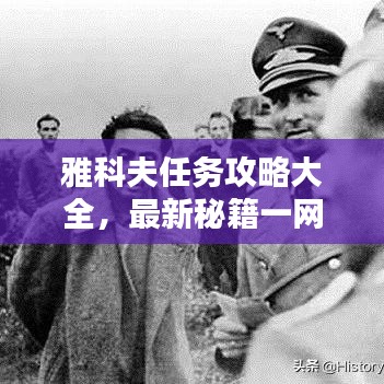 雅科夫任务攻略大全，最新秘籍一网打尽！