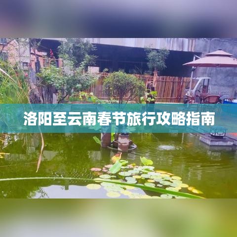 洛阳至云南春节旅行攻略指南