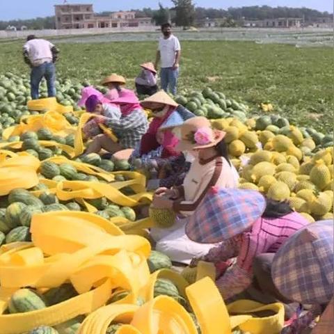 713版本,快速设计响应计划|XR_v5.999