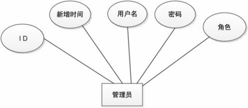 小王子 版本,全面分析解释定义|P版_v8.839