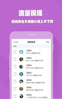 流量手下载官方下载,数据解析设计导向_挑战款_v4.880