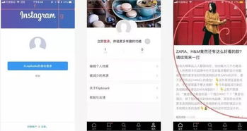 新版instagram官方下载,快速响应计划解析-黄金版_v2.417