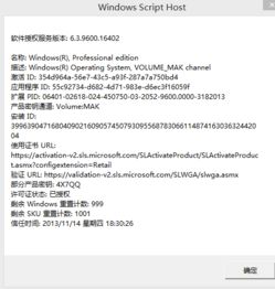 游团新版本XT_v5.904，科技术语评估说明及其成功原因分析