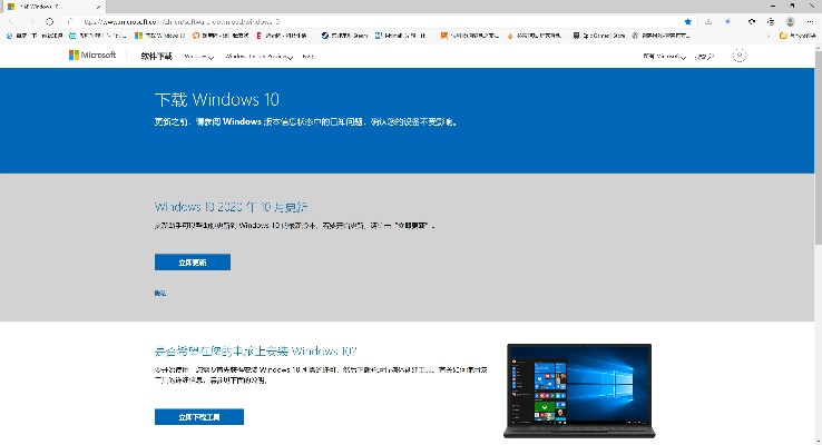 鲸旗版本,专业解答执行 Windows1_v4.100