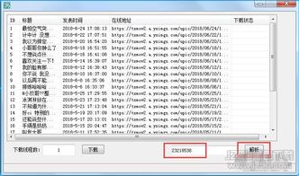 专业级工具，欢乐升级官方下载，动态解析词汇_4DM_v9.231