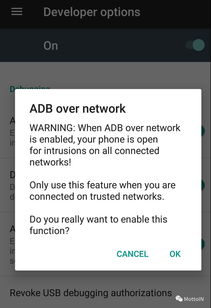 下载官方污app下载,科技评估解析说明&amp;WP1_v9.389