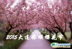 樱花与雷电石,那些消逝在时光里的经典软件记忆