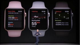 applewatch需要激活码同英雄官方下载,诠释说明解析&amp;XP_v5.776